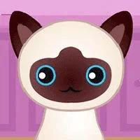 Play Guess the kitty - Free online game